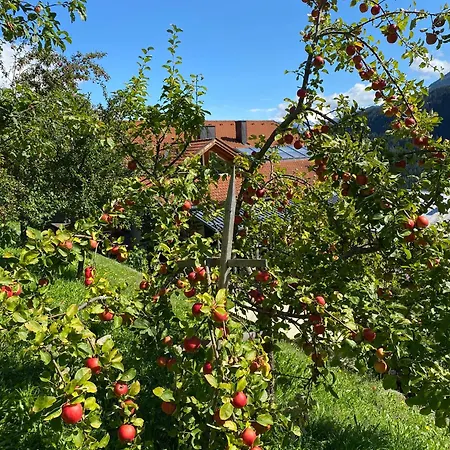 Alpenzeit Апартаменты Арцль (Пицталь)