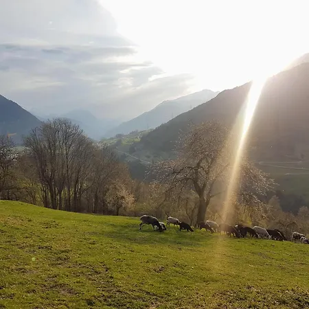 Appartement Alpenzeit